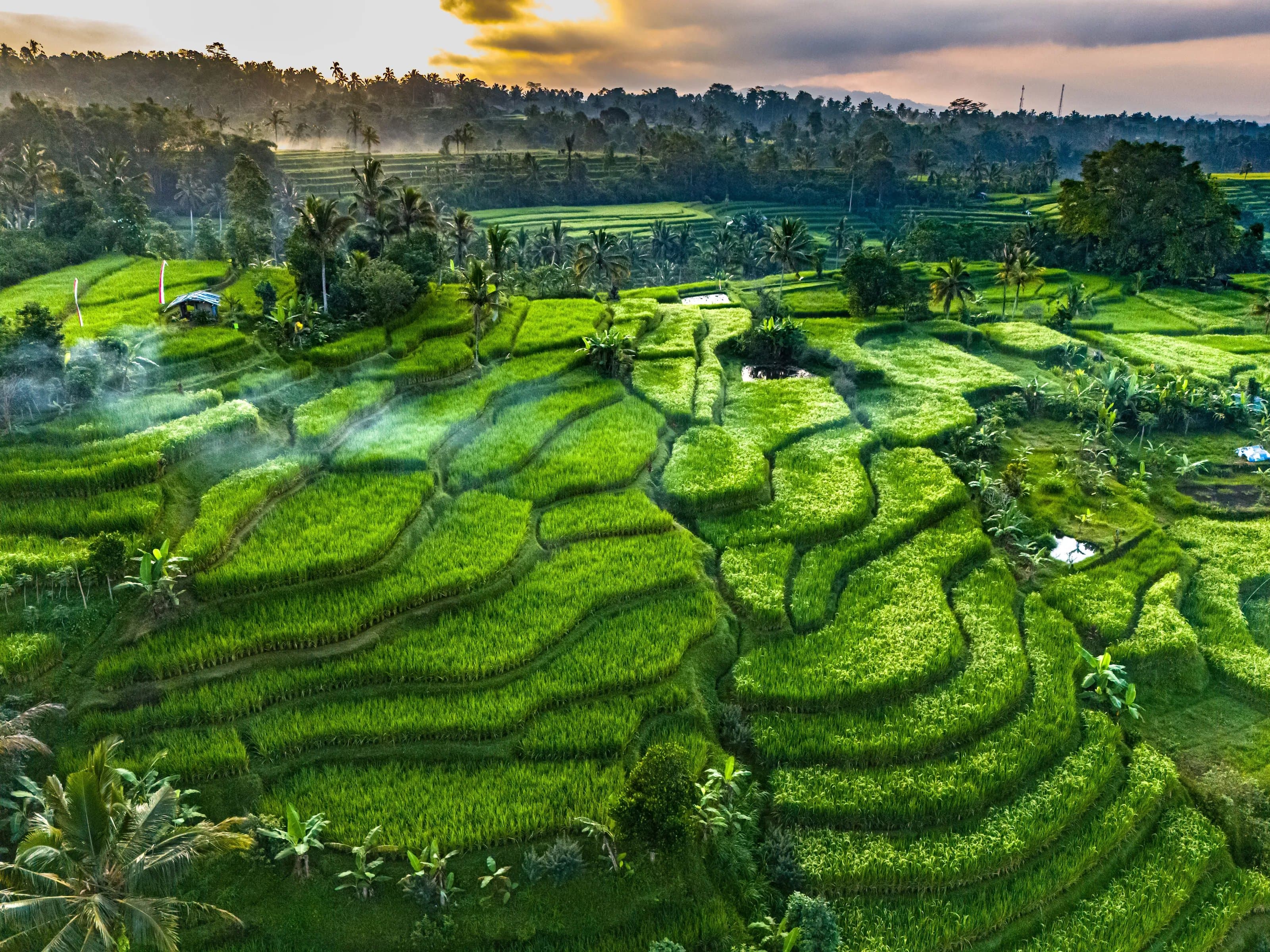 Bali